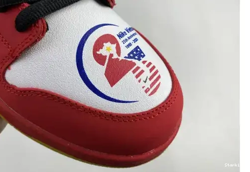 SB Low Nike Dunk 25th years 309242-307 0621
